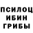 Галлюциногенные грибы Psilocybe JAVOHIR Asqarov
